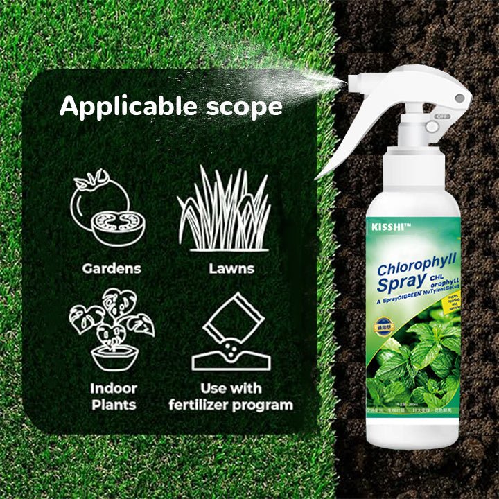 KISSHI™ - Chlorophyll Spray ACE 2 (1+1 Free) - Evesbury