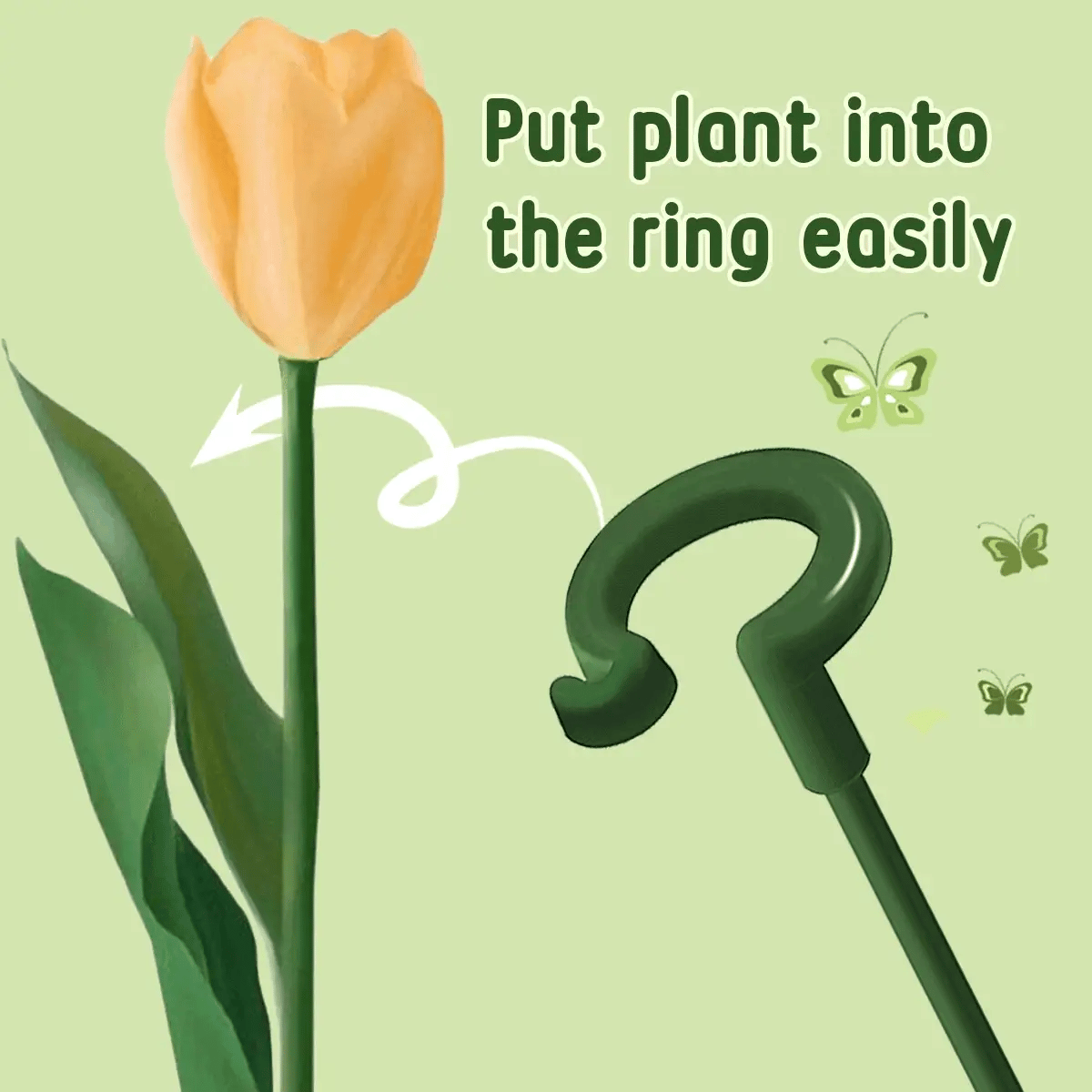 Evergrow™ - Plant Support Stakes for Healthy Growth (5+5 Free) - Evesbury