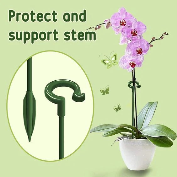 Evergrow™ - Plant Support Stakes for Healthy Growth (5+5 Free) - Evesbury