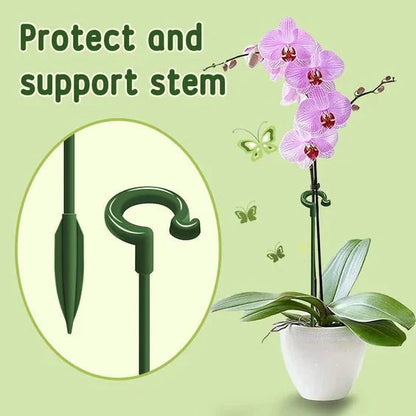 Evergrow™ - Plant Support Stakes for Healthy Growth (5+5 Free) - Evesbury