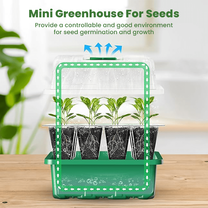 LIMETOW™ - Seed Starter Kit - Evesbury