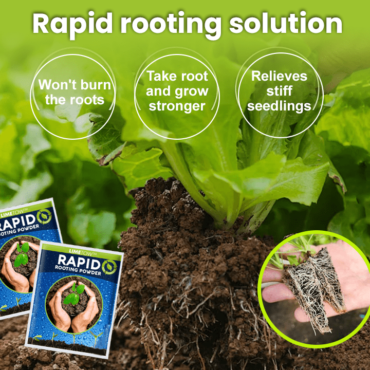 LIMETOW™ Rapid Rooting Powder (1+1 Free) - Evesbury