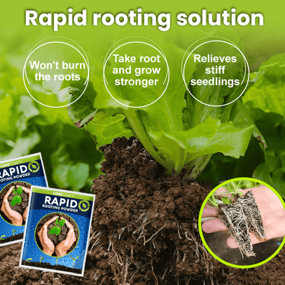 LIMETOW™ Rapid Rooting Powder (1+1 Free) - Evesbury