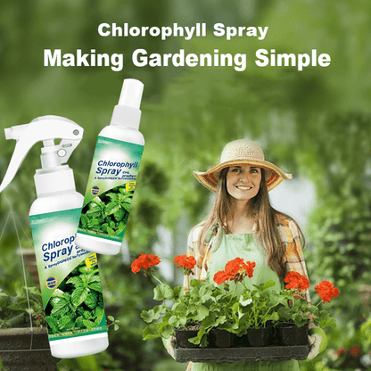 KISSHI™ - Chlorophyll Spray ACE 2 (1+1 Free) - Evesbury