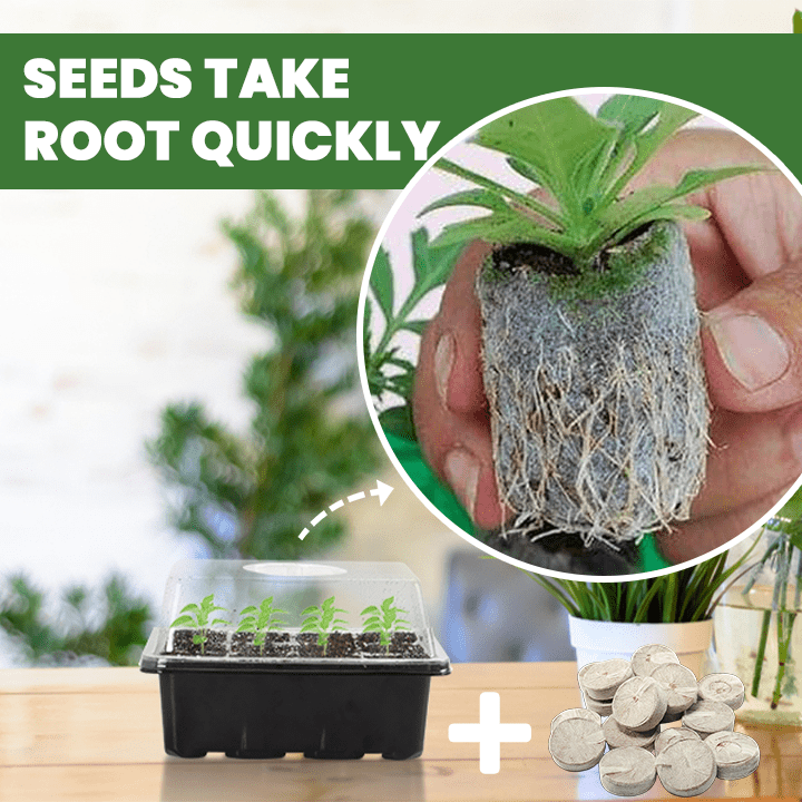 LIMETOW™ - Seed Starter Kit - Evesbury