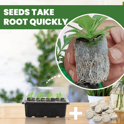 LIMETOW™ - Seed Starter Kit - Evesbury