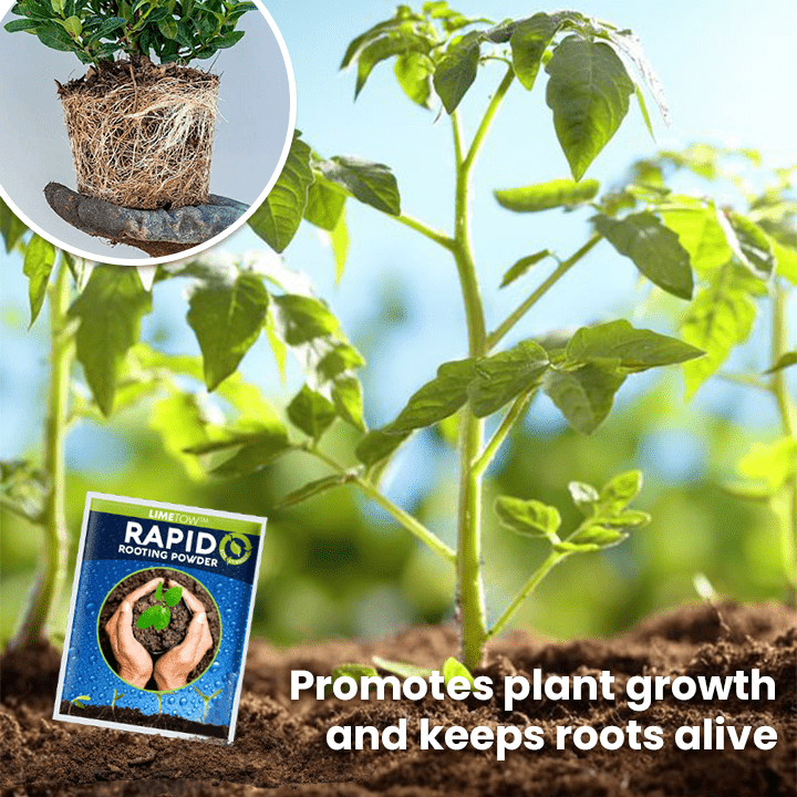 LIMETOW™ Rapid Rooting Powder (1+1 Free) - Evesbury