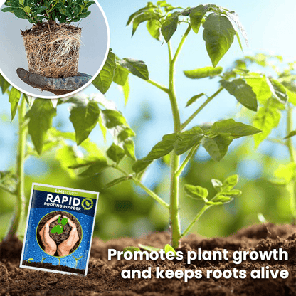 LIMETOW™ Rapid Rooting Powder (1+1 Free) - Evesbury