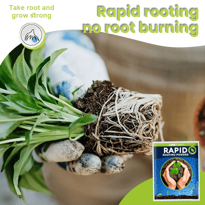 LIMETOW™ Rapid Rooting Powder (1+1 Free) - Evesbury