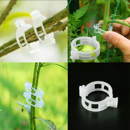 Evergrow™ - 100 Plant Support Clips for Grafting & Fixing (50% Off) - Evesbury