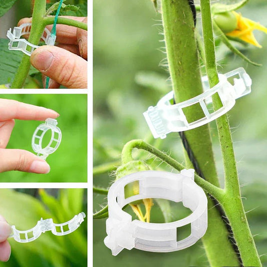 Evergrow™ - 100 Plant Support Clips for Grafting & Fixing (50% Off) - Evesbury