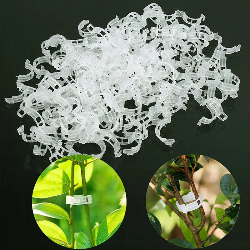 Evergrow™ - 100 Plant Support Clips for Grafting & Fixing (50% Off) - Evesbury