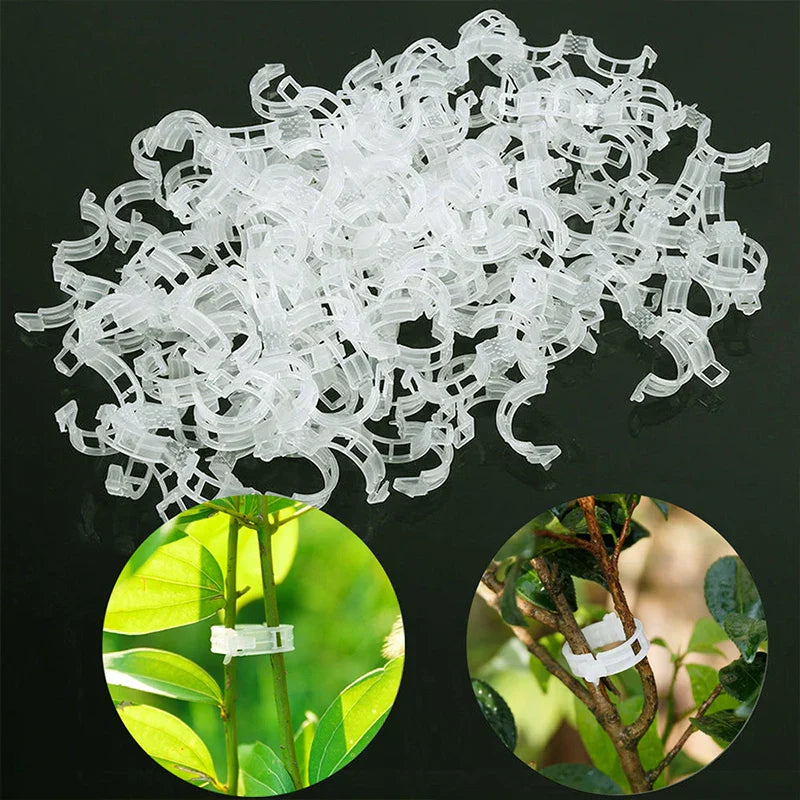 Evergrow™ - 100 Plant Support Clips for Grafting & Fixing (50% Off)