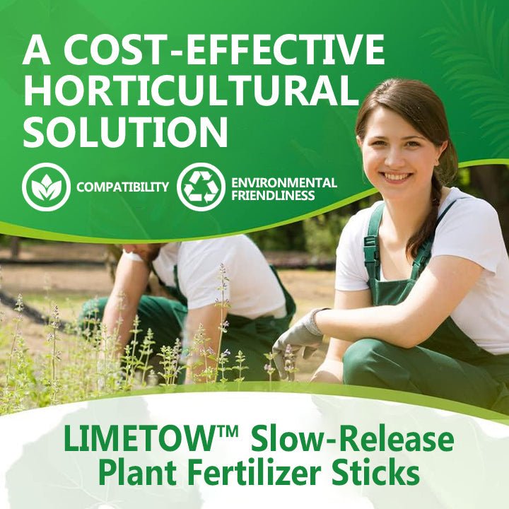 LIMETOW™ - Slow - Release Plant Fertilizer Sticks (1+1 Free) - Evesbury
