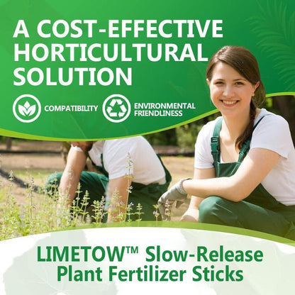 LIMETOW™ - Slow - Release Plant Fertilizer Sticks (1+1 Free) - Evesbury