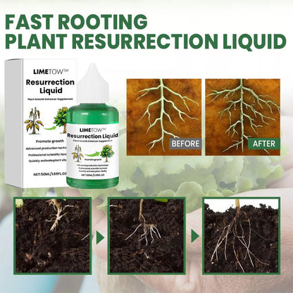 LIMETOW™ Plant Resurrection Liquid (1+1 Free) - Evesbury