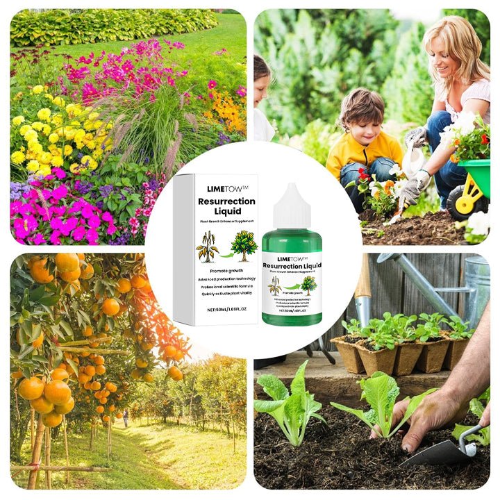 LIMETOW™ Plant Resurrection Liquid (1+1 Free) - Evesbury