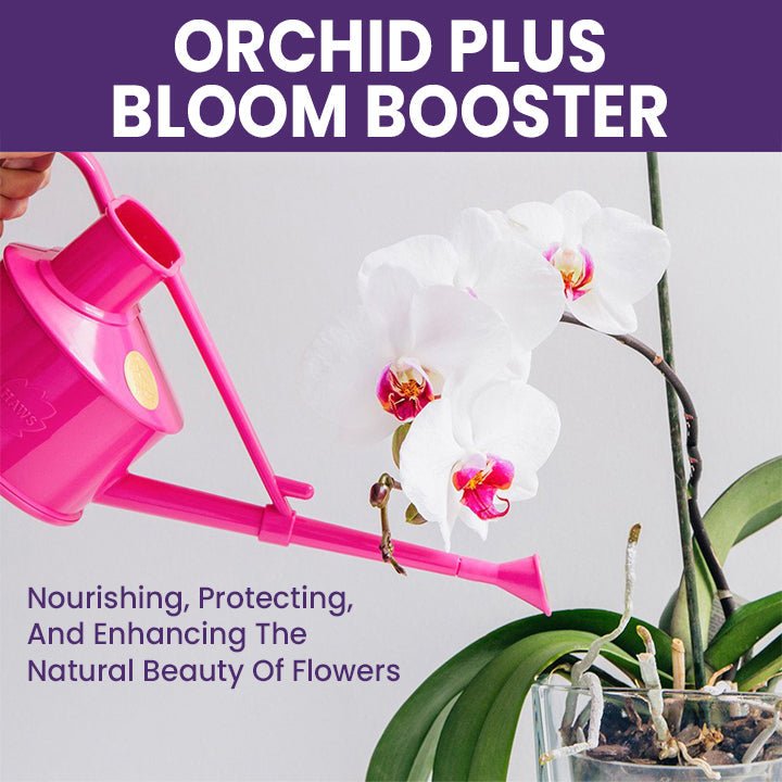 LIMETOW™ Orchid Plus Bloom Booster (1+1 Free) - Evesbury