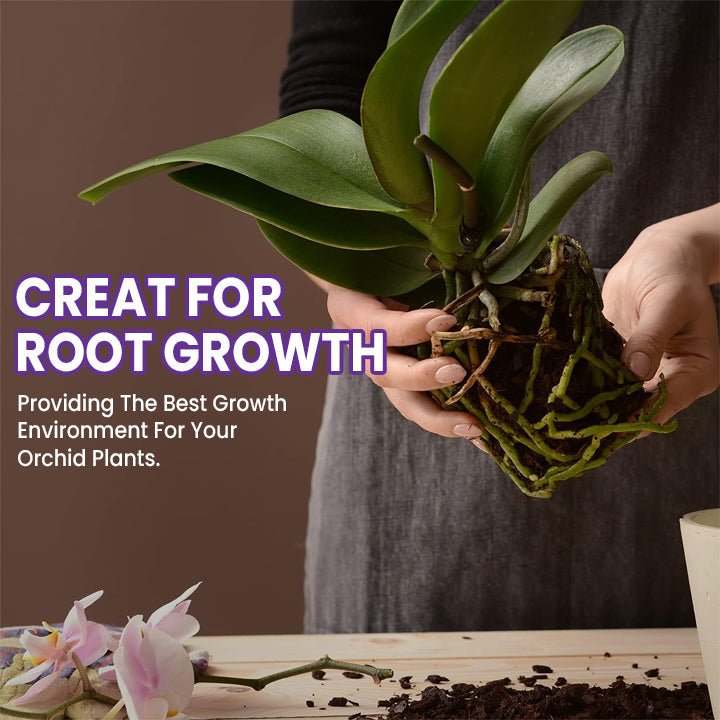 LIMETOW™ Orchid Plus Bloom Booster (1+1 Free) - Evesbury