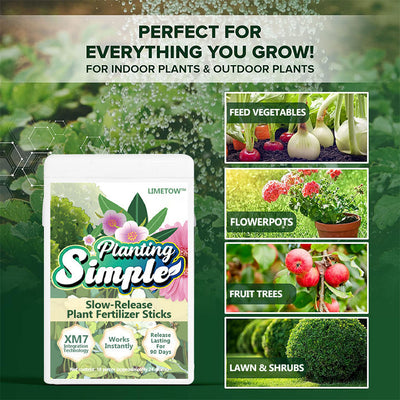 LIMETOW™ - Slow-Release Plant Fertilizer Sticks (1+1 Free)