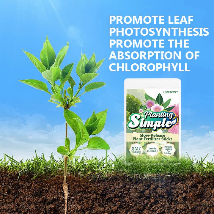 LIMETOW™ - Slow - Release Plant Fertilizer Sticks (1+1 Free) - Evesbury