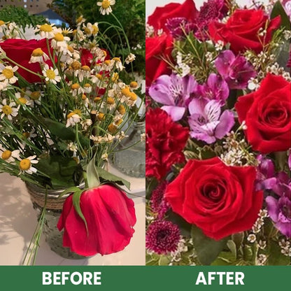 LIMETOW™ Plant Resurrection Liquid (1+1 Free) - Evesbury