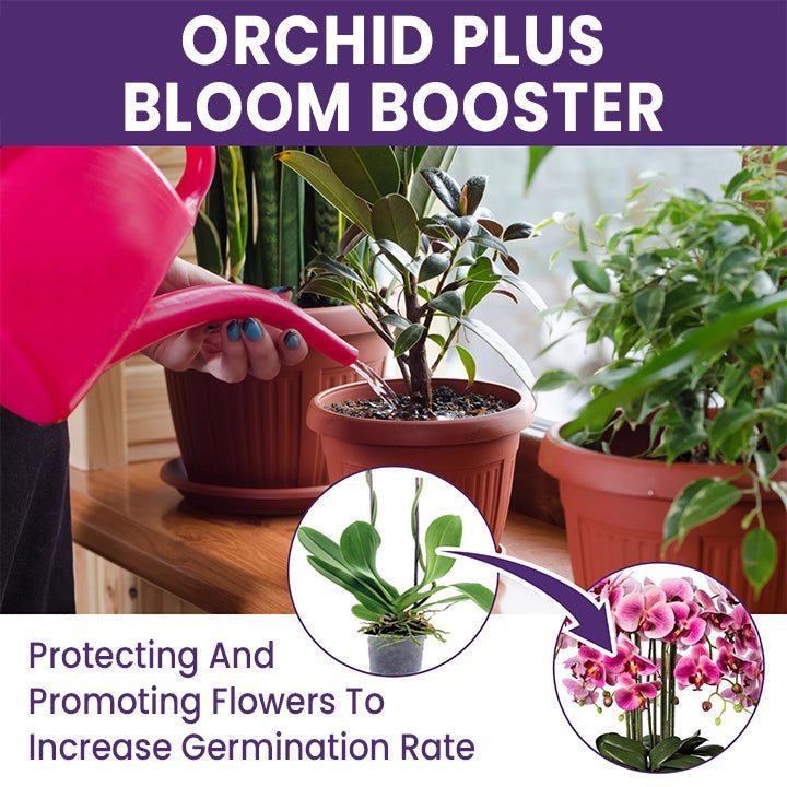 LIMETOW™ Orchid Plus Bloom Booster (1+1 Free) - Evesbury