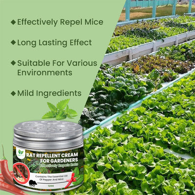 LIMETOW™ - Rat Repellent Cream for Gardeners (1+1 Free)