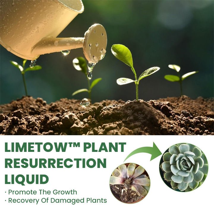 LIMETOW™ Plant Resurrection Liquid (1+1 Free) - Evesbury