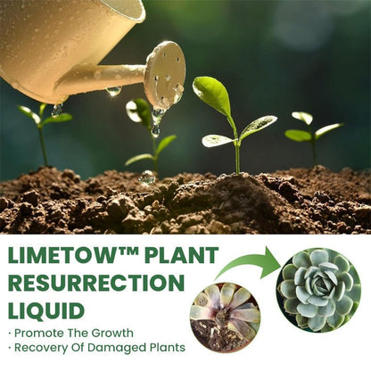 LIMETOW™ Plant Resurrection Liquid (1+1 Free) - Evesbury