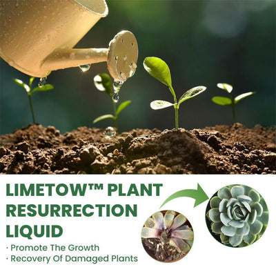 LIMETOW™ Plant Resurrection Liquid (1+1 Free)