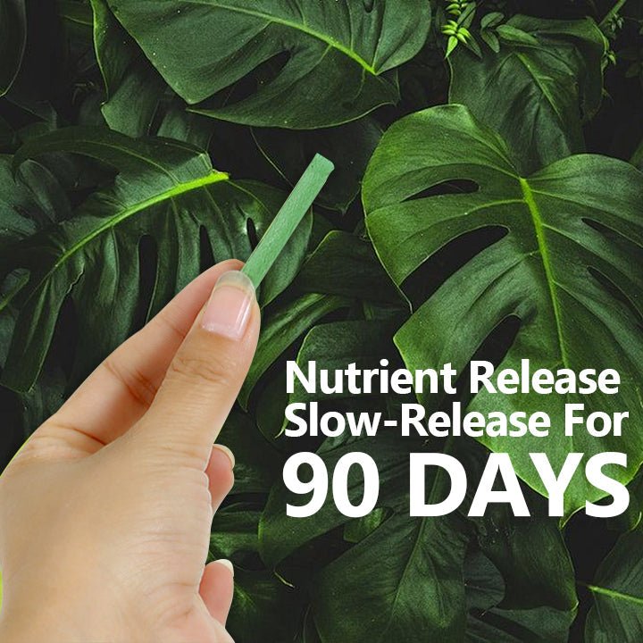 LIMETOW™ - Slow - Release Plant Fertilizer Sticks (1+1 Free) - Evesbury