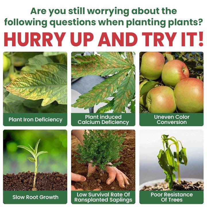 LIMETOW™ Plant Resurrection Liquid (1+1 Free) - Evesbury