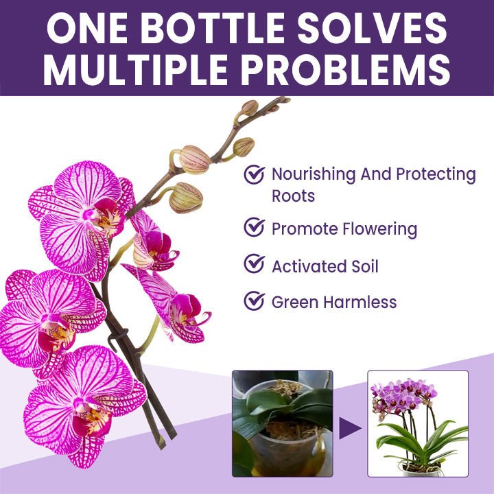 LIMETOW™ Orchid Plus Bloom Booster (1+1 Free) - Evesbury