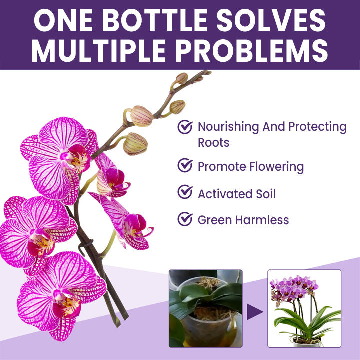 LIMETOW™ Orchid Plus Bloom Booster (1+1 Free)