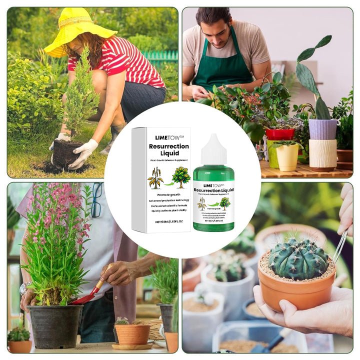 LIMETOW™ Plant Resurrection Liquid (1+1 Free) - Evesbury