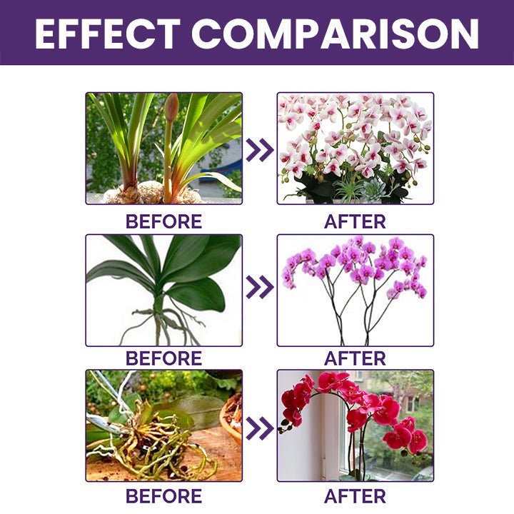 LIMETOW™ Orchid Plus Bloom Booster (1+1 Free) - Evesbury