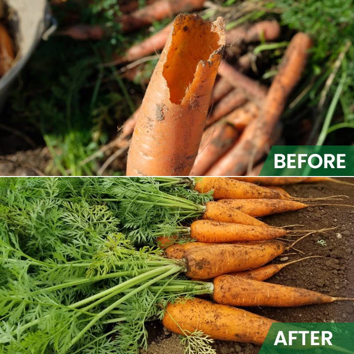 LIMETOW™ - Rat Repellent Cream for Gardeners (1+1 Free) - Evesbury