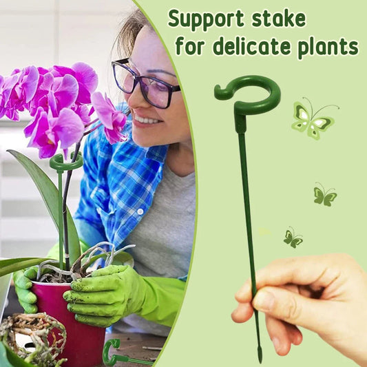 Evergrow™ - Plant Support Stakes for Healthy Growth (5+5 Free) - Evesbury
