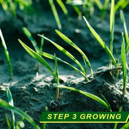 Greendex™ - Biodegradable Grass Seed Mat (1+1 Free) - Evesbury