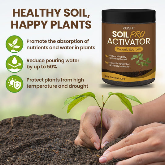 KISSHI™ - Soil Pro Activator (1+1 Free) - Evesbury